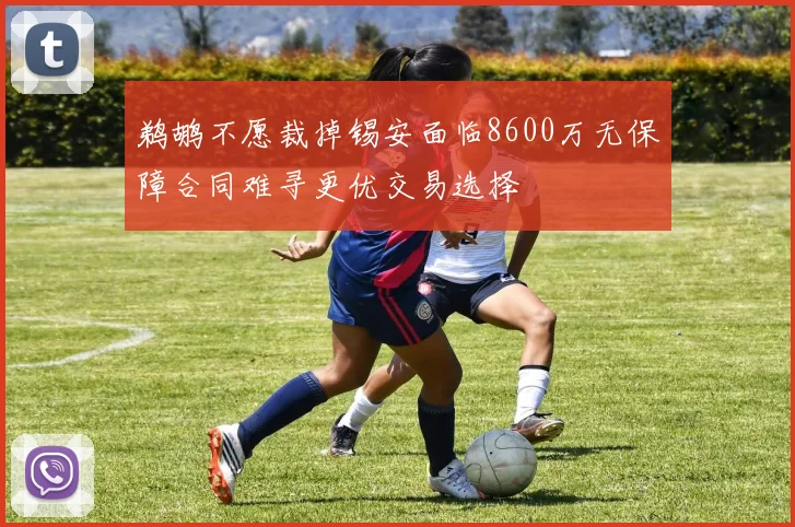 鹈鹕不愿裁掉锡安面临8600万无保障合同难寻更优交易选择