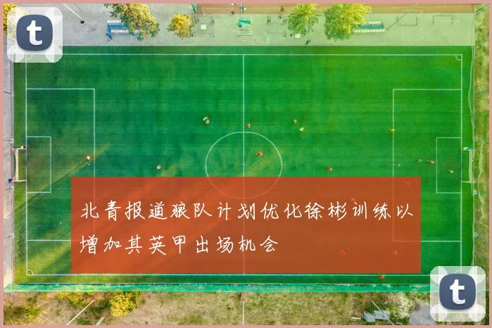 北青报道狼队计划优化徐彬训练以增加其英甲出场机会